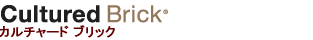 CULTURED BRICK yJ`[hubNz
